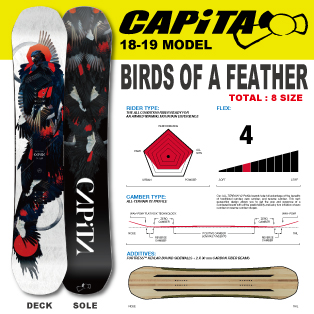 18-19 CAPiTA(ｷｬﾋﾟﾀ)・BIRDS OF A FEATHER [140cm,142cm,144cm,146cm ...