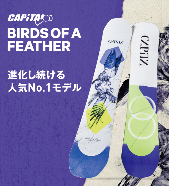 21-22 CAPiTA(ｷｬﾋﾟﾀ)・BIRDS OF A FEATHER [140cm 142cm 144cm 146cm