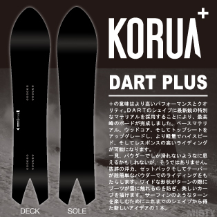 DART PLUS画像