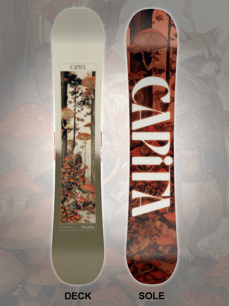 25-26 CAPiTA(ｷｬﾋﾟﾀ)・PARADISE [139cm 141cm 143cm 145cm 147cm 149cm