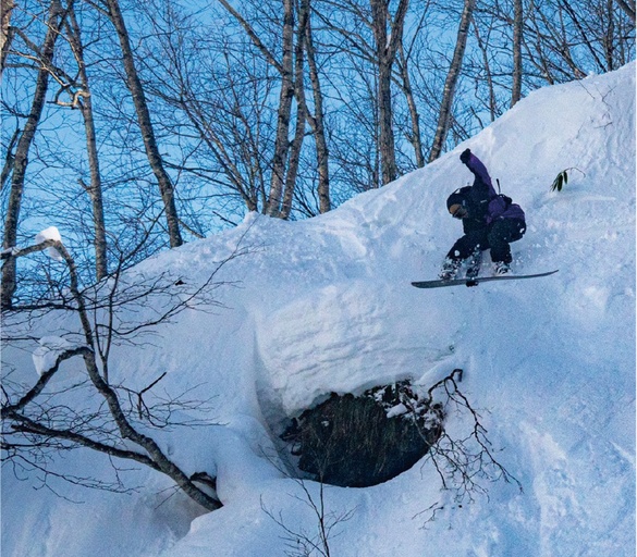 WDのTECH05について