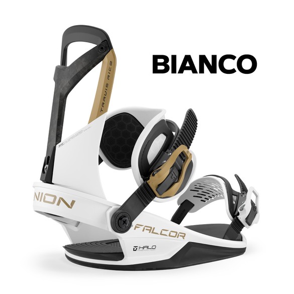 FALCORのカラー画像02